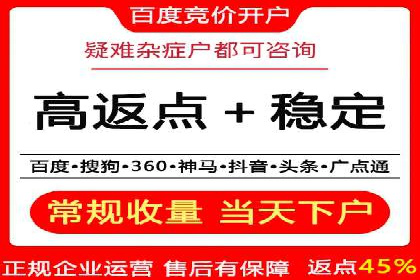 充值高返点策略：成功案例分析与解读
